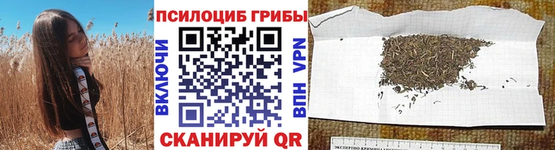 Псилоцибиновые грибы ЛСД  Купить где  Кингисепп 