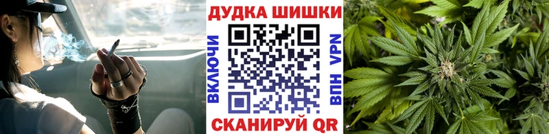 МАРИХУАНА ГИДРОПОН  Купить где  Кингисепп 